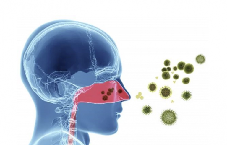 Screen Shot 2020-10-30 at 11.08.03