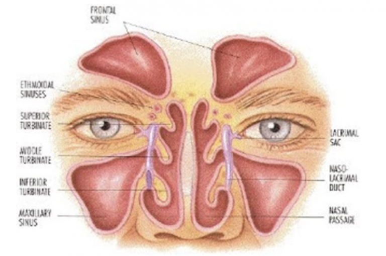 Screen Shot 2020-10-30 at 11.09.23